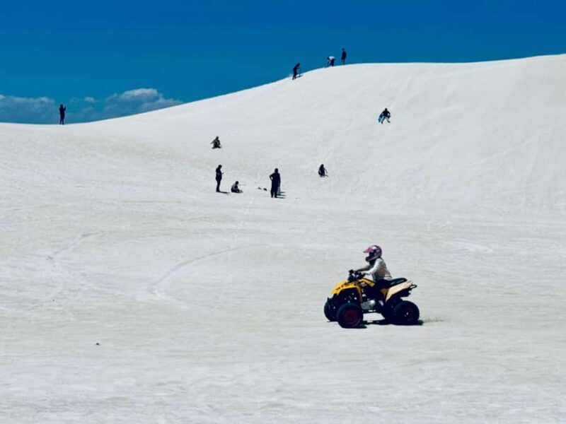 Perth: Pinnacles Stargazing, Sandboarding & Beach Kangaroos - Authentic Experience Highlighted by Reviews