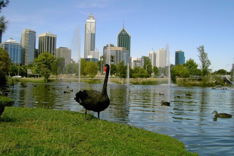 Perth Riverside Segway Tour - Insight from The Reviews