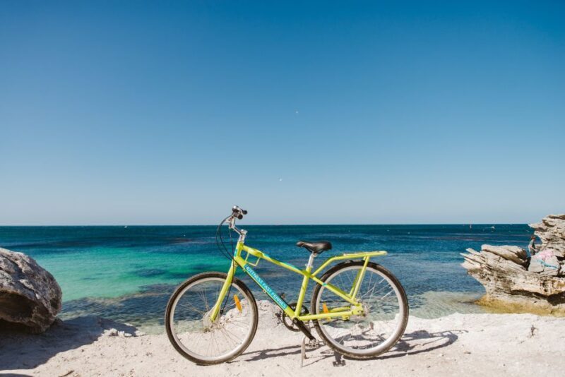 Perth: Rottnest Island Ferry, Bike, Coffee & Lobster Roll - Who Is This Tour Best For?