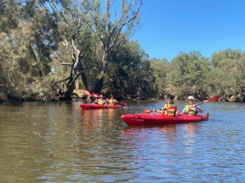 Perth: Swan River Kayak, Wine & Dine Experience - FAQs