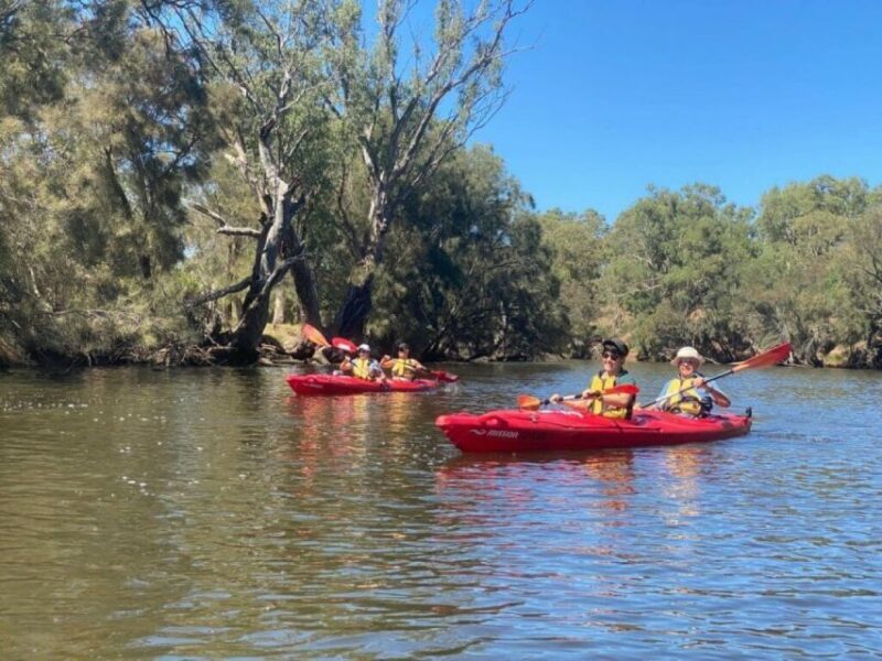Perth: Swan River Kayaking Tour with Dining and Wine Tasting - Key Points