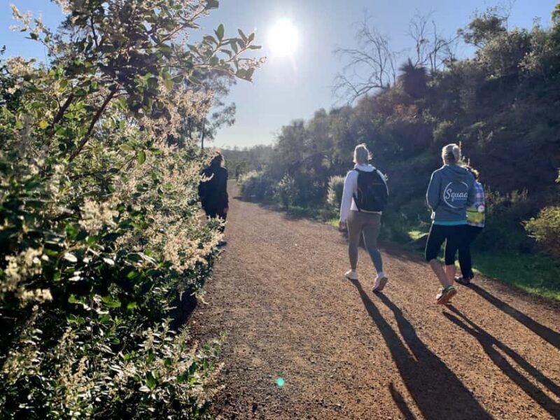 Perth: Swan View Tunnel, Falls, and Eagle View Hike - Who is this tour perfect for?  