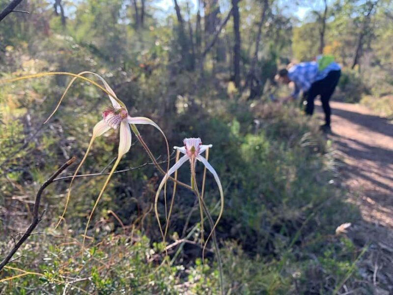 Perth: Swan View Tunnel, Falls, and Eagle View Hike - FAQ