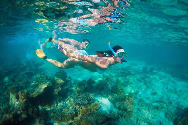 Perth to Exmouth 6-Day Coral Coaster One-Way Journey - What Makes This Tour Stand Out?