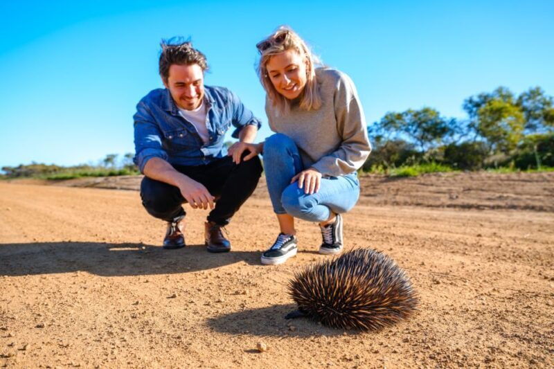 Perth to Exmouth 6-Day Coral Coaster One-Way Journey - Value and Pricing