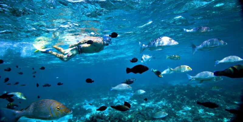 Perth to Exmouth & Return with Monkey Mia & Ningaloo Reef - An In-Depth Look at the Itinerary