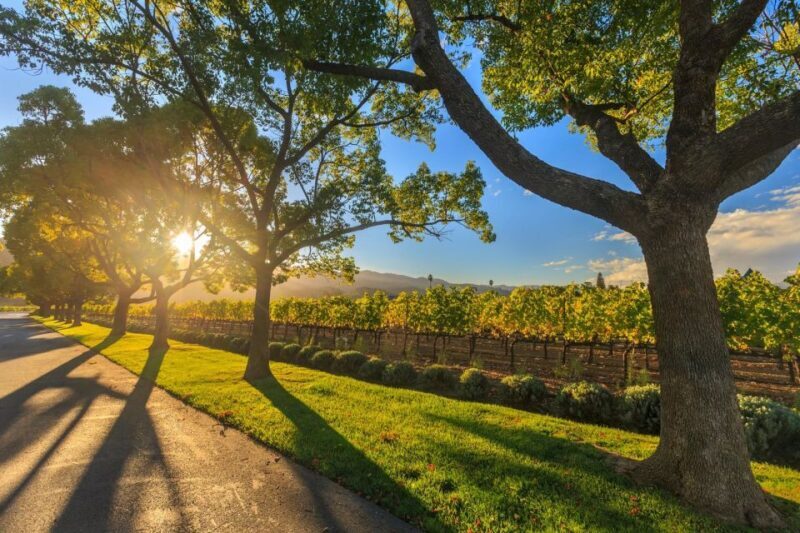 Perth VIP Swan Valley Wine Tour - Premium Small Group Tour - Authentic Reviews: What Travelers Say