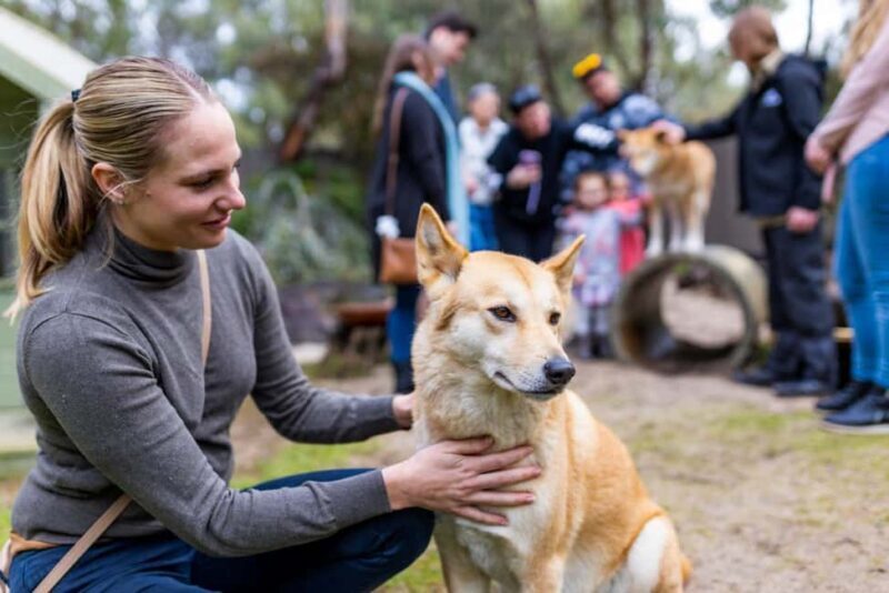 Perth: WA Wildlife Hospital and Native Fauna Encounter Tour - Exploring the Details of the Tour