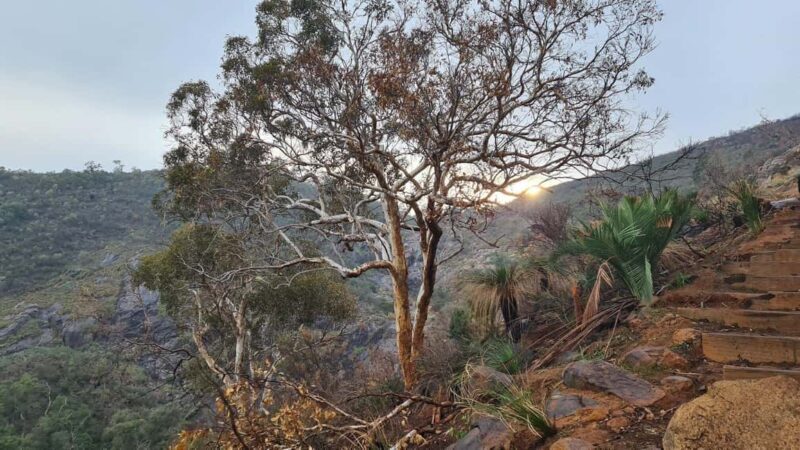 Perth: Waterfalls, Wildflowers & Wandoo Hiking Experience - An In-Depth Look at the Perth Waterfalls, Wildflowers & Wandoo Hiking Experience