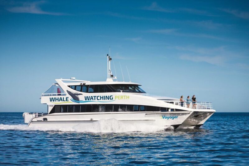 Perth: Whale Watching Cruise from Hillarys Boat Harbour - Final Thoughts  