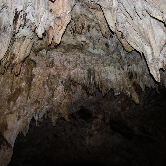 pertosa-and-padula-a-journey-through-mystery-culture