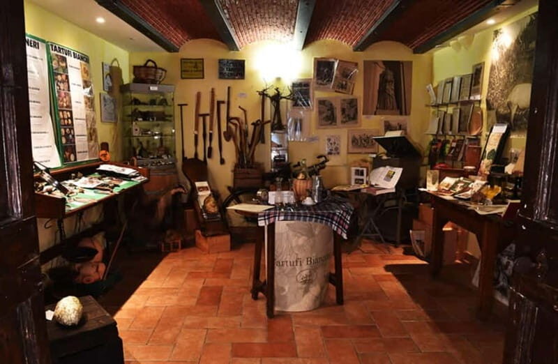 Perugia: Truffle Tasting & Museum Tour in Umbria - Key Points