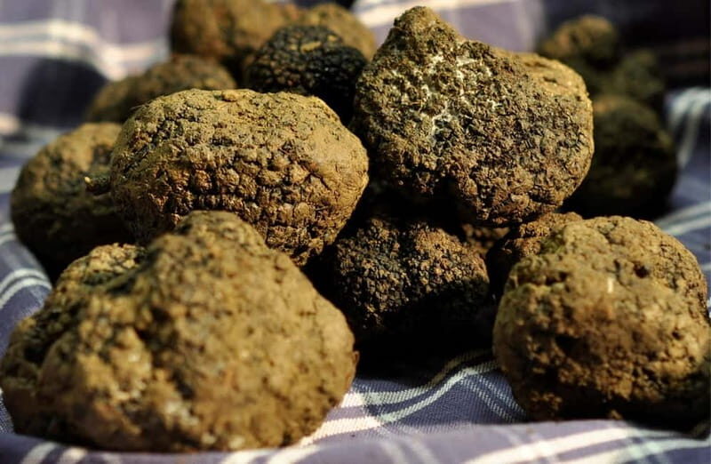 Perugia: Truffle Tasting & Museum Tour in Umbria - FAQ