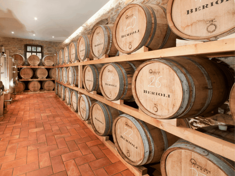 perugia-winery-visit-tasting-near-the-lake-trasimeno