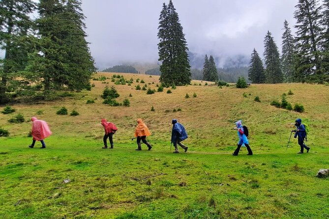 pestera-and-magura-full-day-private-walking-tour-from-brasov