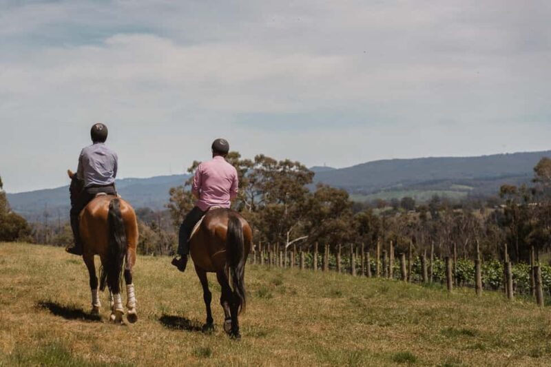 Petaluma: Horseback Riding and Wine Tasting Tour - Key Points