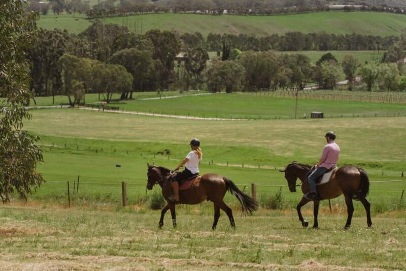 Petaluma: Horseback Riding and Wine Tasting Tour - Exploring the Experience in Detail