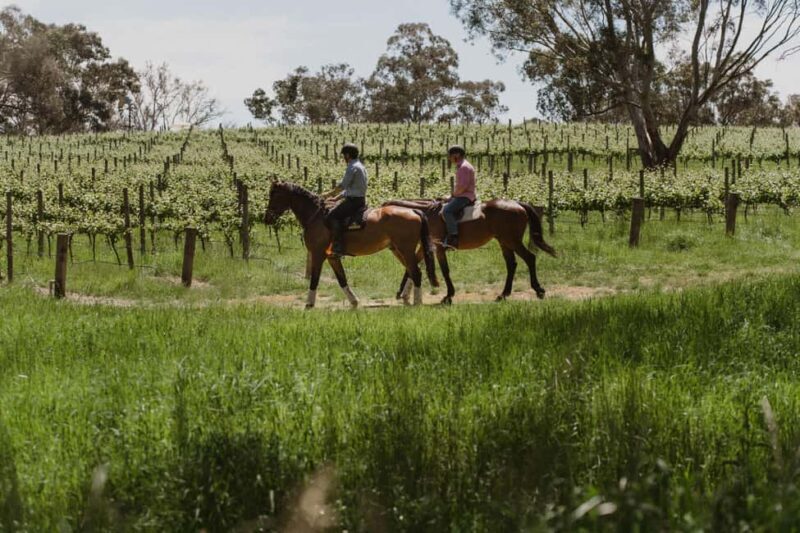 PETALUMA: VIP Equestrian & Private Wine Lunch with Olympian - An Authentic Look at the Experience