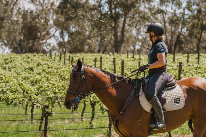 PETALUMA: VIP Equestrian & Private Wine Lunch with Olympian - The Value and Why It’s Worth Considering