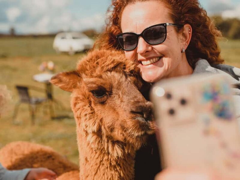 Peterborough: Alpaca Meet and Greet Experience - Introduction