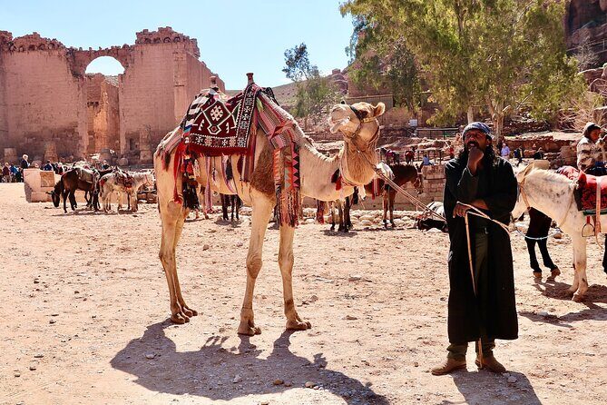 Petra 1-Day Tour from Tel Aviv with FREE Authentic Lunch - Who Is This Tour Best For?