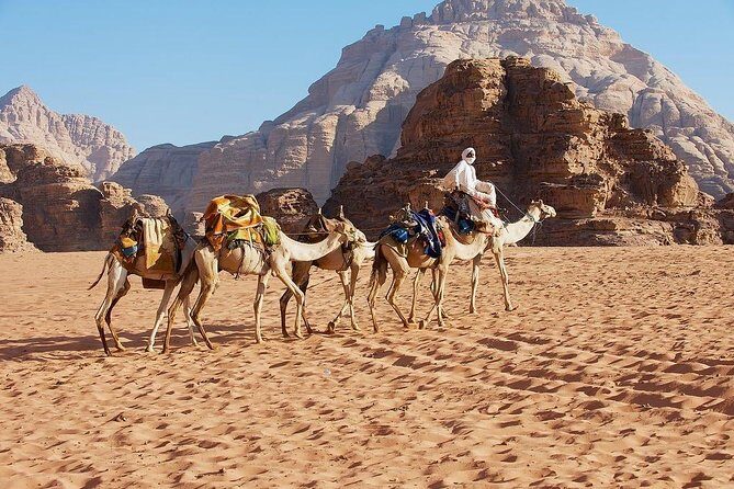 Petra and Wadi Rum Day Trip from Amman - An Honest Look at the Day Itself