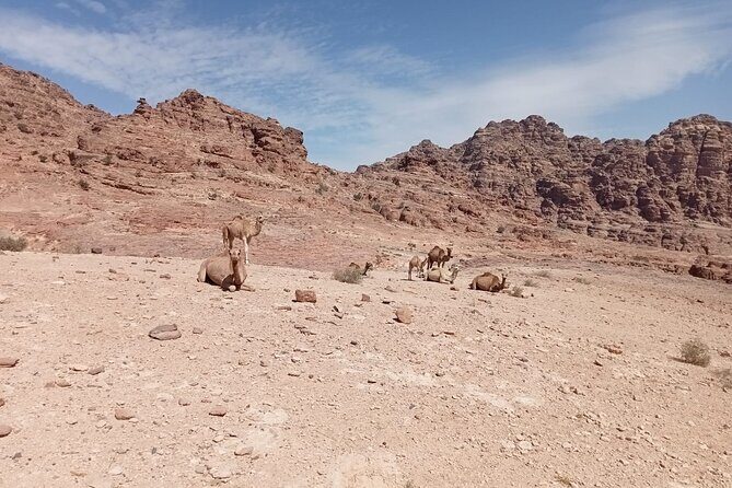 Petra Back-Road Trail and Hike - Key Points
