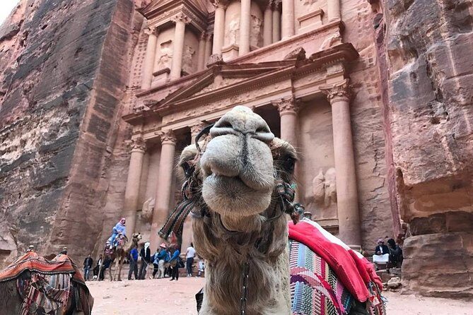 Petra Day trip from Aqaba City - Final Thoughts: Who Should Consider This Tour?