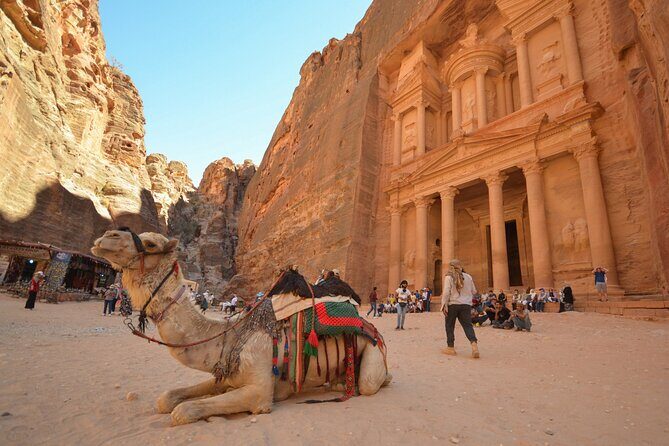 Petra & Dead Sea - One day Private tour - Why This Tour Works