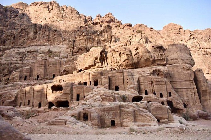 Petra, Little Petra and Shobak Castle - Private Tour From Amman - Potential Drawbacks