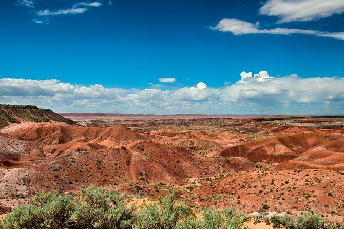 petrified-forest-national-park-self-guided-audio-driving-tour