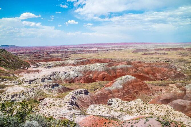 petrified-forest-national-park-self-guided-driving-audio-tour