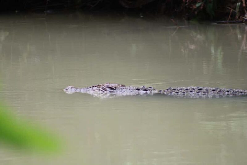 Peucang Island: 3-Day Ujung Kulon National Park EcoTour - Practicalities & Considerations