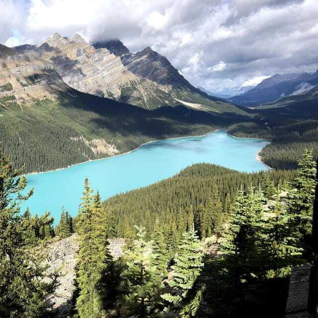 peyto-lake-top-10-worlds-best-scenic-drive-icefield-parkway