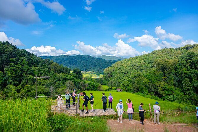 Pha Dok Siew Nature Trail & Doi Inthanon National Park From Chiang Mai - Key Points