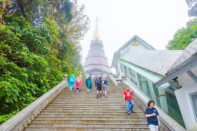 Pha Dok Siew Nature Trail & Doi Inthanon National Park From Chiang Mai - Practical Tips for Making the Most of Your Day