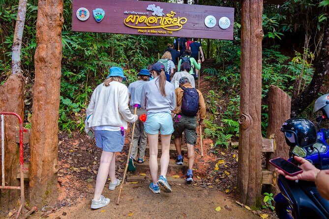 Pha Dok Siew Nature Trail & Doi Inthanon National Park From Chiang Mai - Who This Tour Is Best For