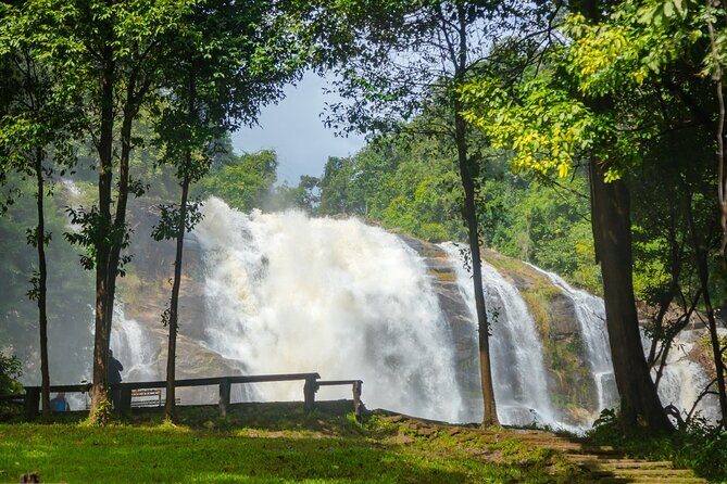 Pha Dok Siew Nature Trail & Doi Inthanon National Park From Chiang Mai - Final Thoughts