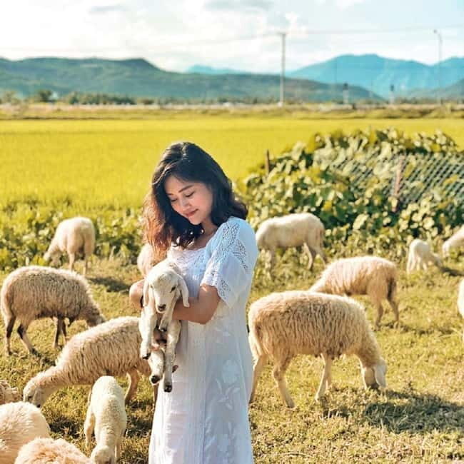 Phan Rang Full-Day: Hang Rai, Vinh Hy, Vineyard & Sheep Farm - A Full-Day Adventure in Ninh Thuan’s Hidden Corners