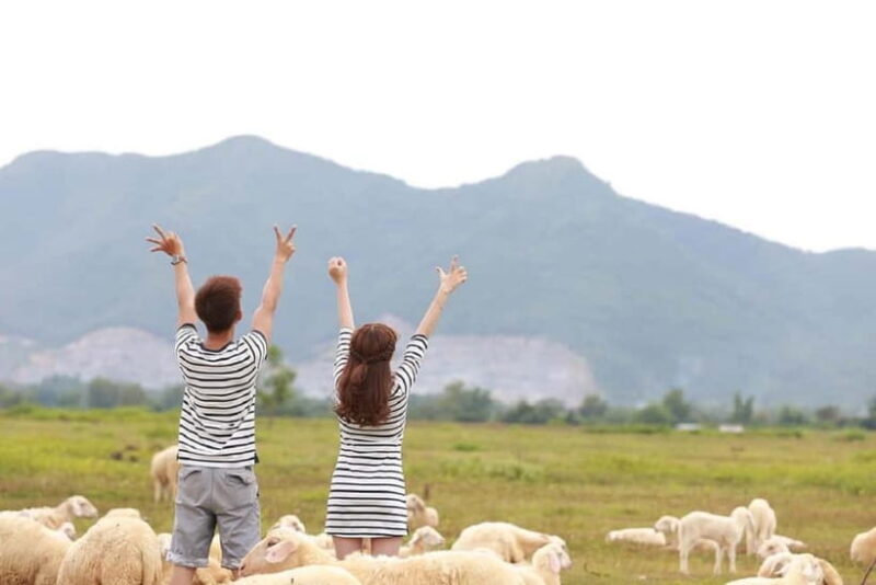 Phan Rang Full-Day: Hang Rai, Vinh Hy, Vineyard & Sheep Farm - Introduction: Why This Tour Might Be Perfect for You