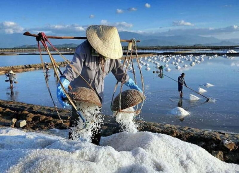 Phan Rang Full-Day: Hang Rai, Vinh Hy, Vineyard & Sheep Farm - Practical Details: What You Need to Know