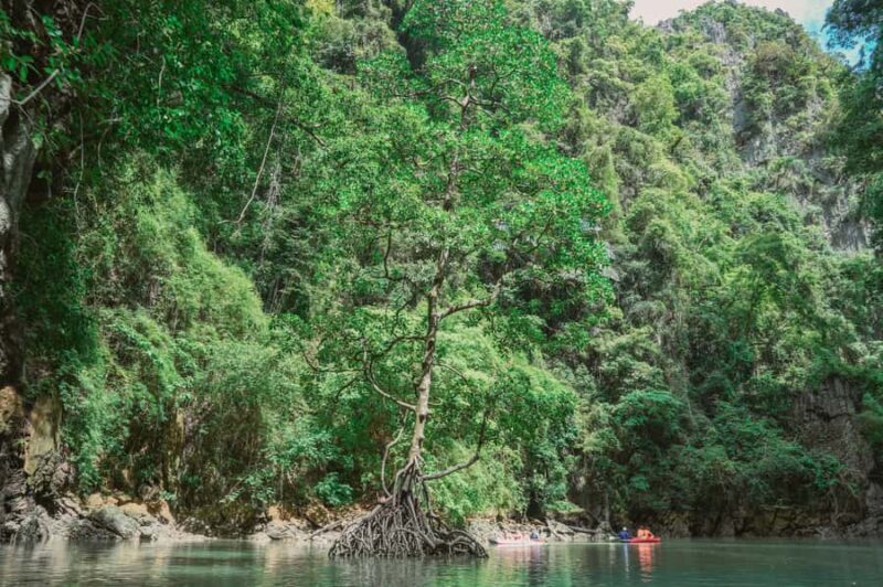 Phang Nga Bay Day Tour & Canoeing by Big Boat (Not crowded) - FAQ