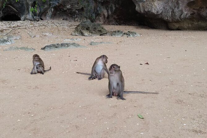 Phang Nga Bay Island Boat Tour By Speedboat By Phuket Sail Tours - Frequently Asked Questions