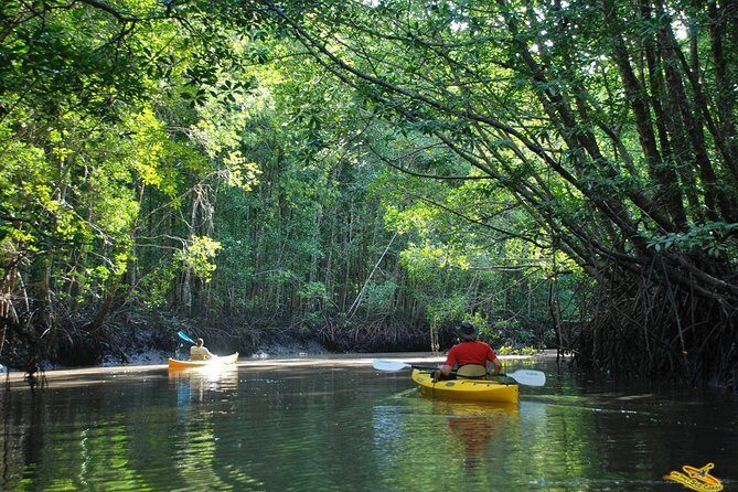 Phang Nga Bay Starlight by John Gray Sea Canoe - Why This Tour Stands Out