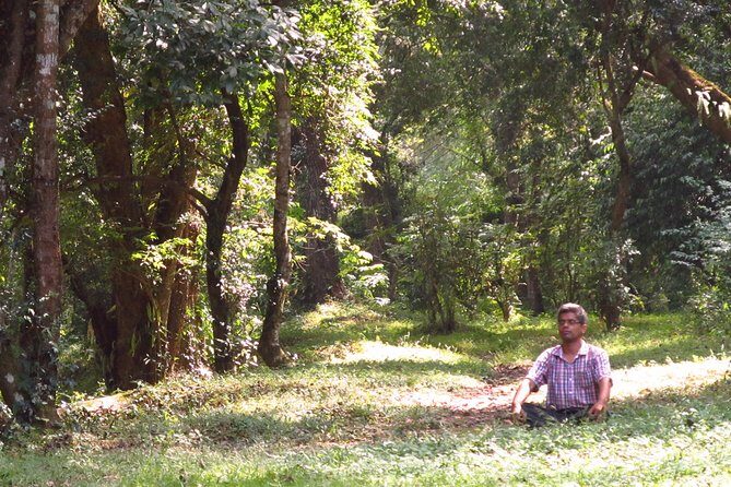 Pharping Asura Cave Meditation Tour - The Itinerary Breakdown