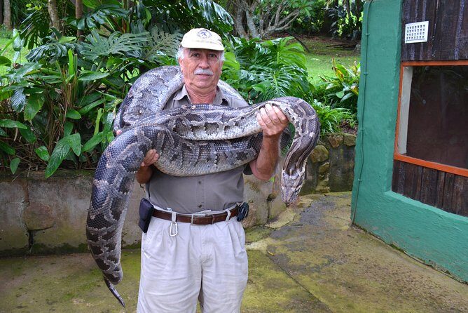 Phezulu Cultural Village & Reptile Park Day Tour from Durban - Who Will Love This Tour?