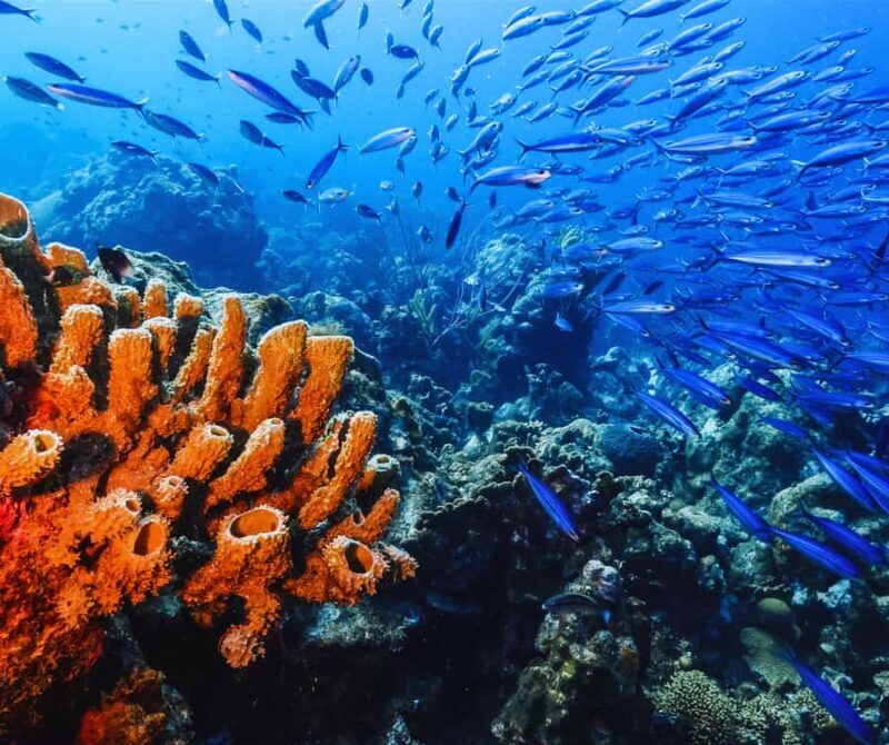 Phi Phi & 4 Islands sunset tour plus bioluminescent plankton - Pricing and Value: Is It Worth It?