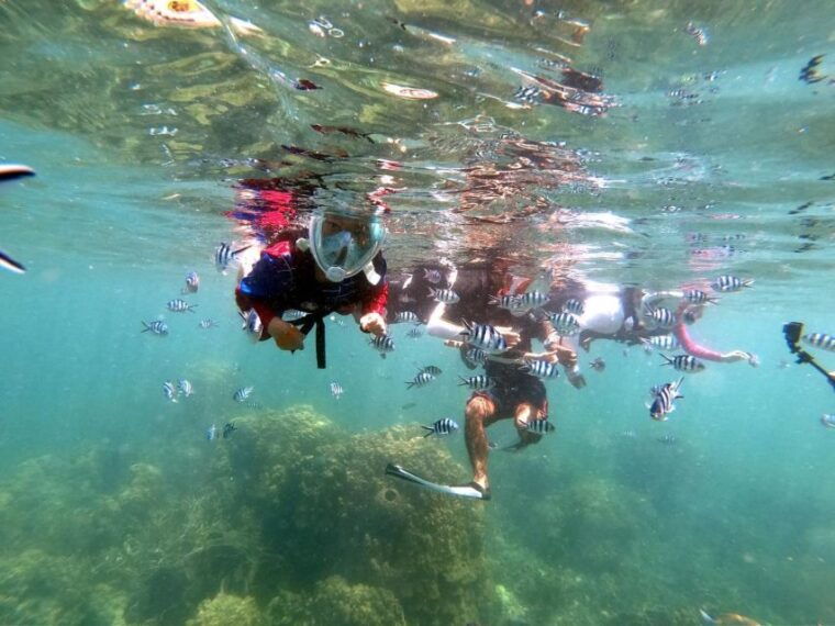 phi-phi-4hrs-bamboo-phi-phi-tour-by-private-longtail-boat