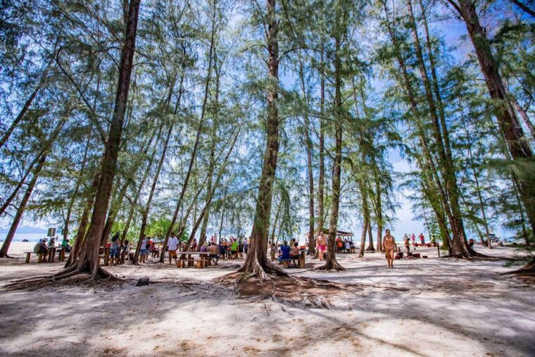 phi-phi-4hrs-bamboo-phi-phi-tour-by-private-longtail-boat