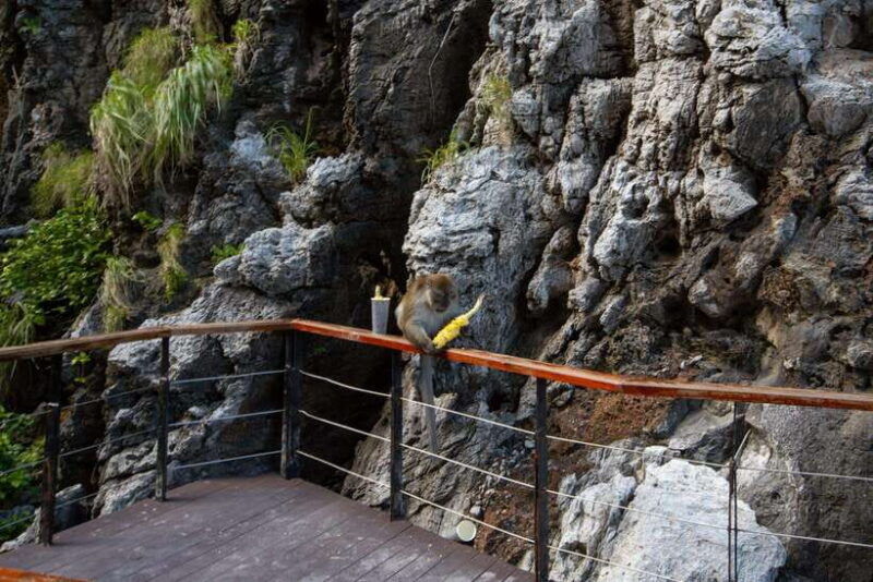 phi-phi-7-island-day-tour-by-longtail-boat